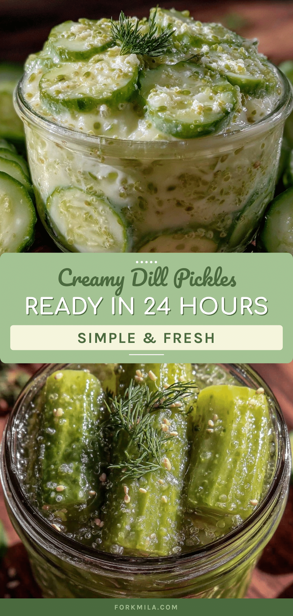 creamy dill refrigerator pickles recipe