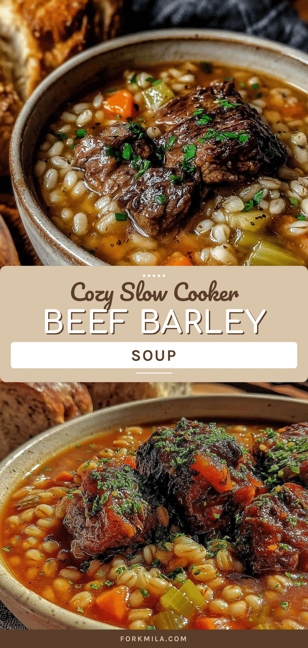 cozy slow cooker beef and barley soup recipe