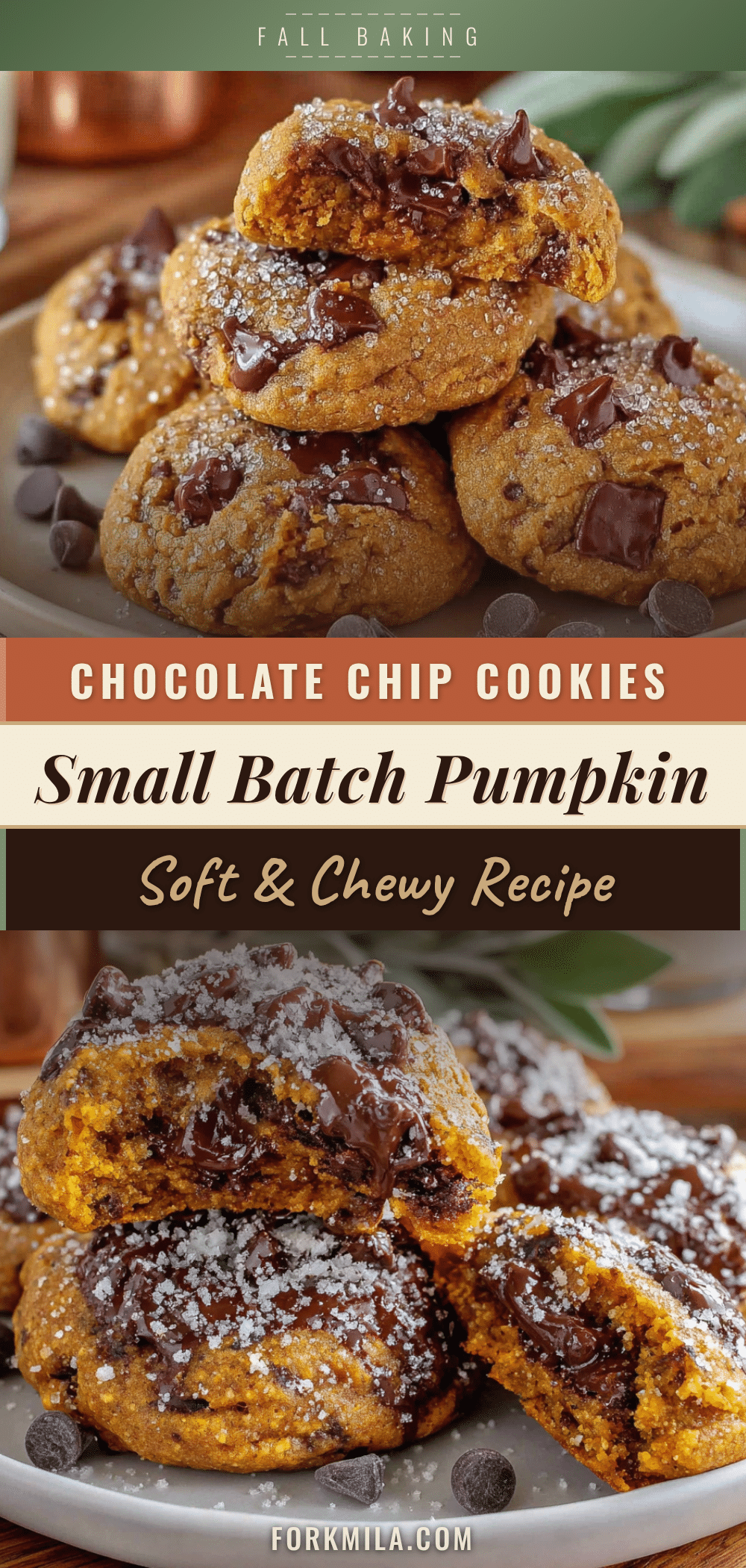 cozy small-batch pumpkin chocolate chip cookies recipe