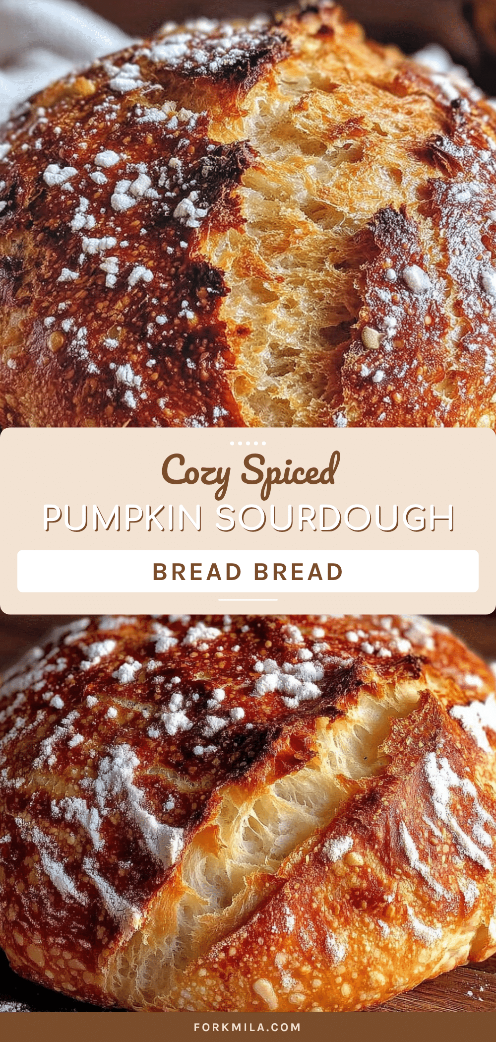 cozy spiced pumpkin sourdough bread recipe