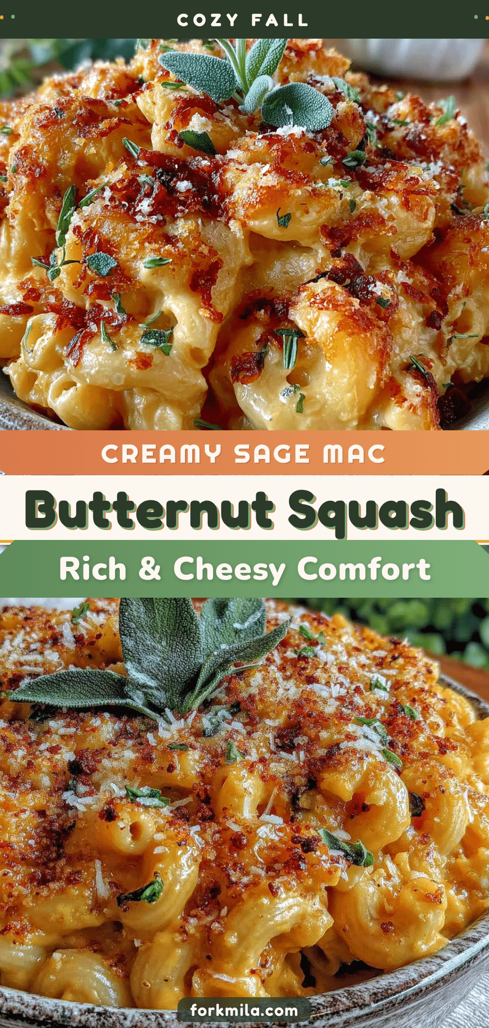 creamy butternut squash mac and cheese recipe